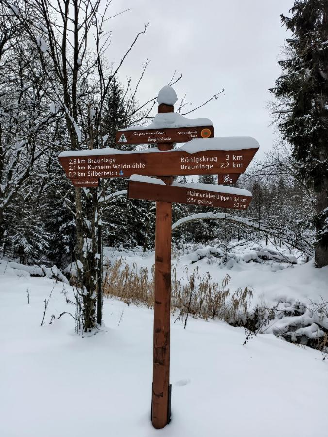 Walpurgis Hexe Daire Braunlage Dış mekan fotoğraf