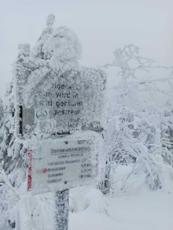 Walpurgis Hexe Daire Braunlage Dış mekan fotoğraf
