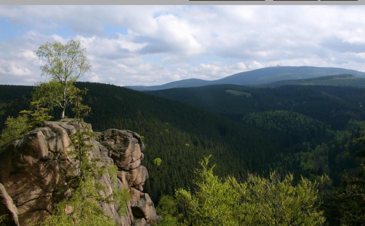 Walpurgis Hexe Daire Braunlage Dış mekan fotoğraf
