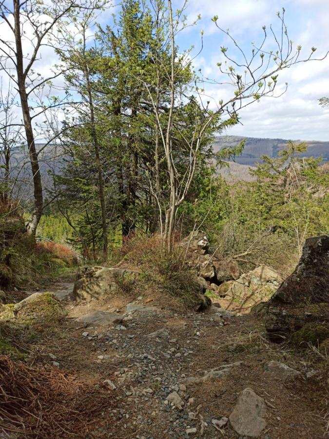 Walpurgis Hexe Daire Braunlage Dış mekan fotoğraf